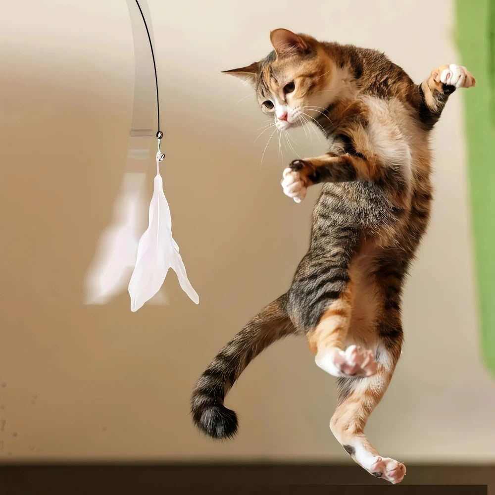Feather Teaser Cat Toy