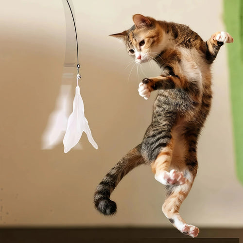 Feather Teaser Cat Toy