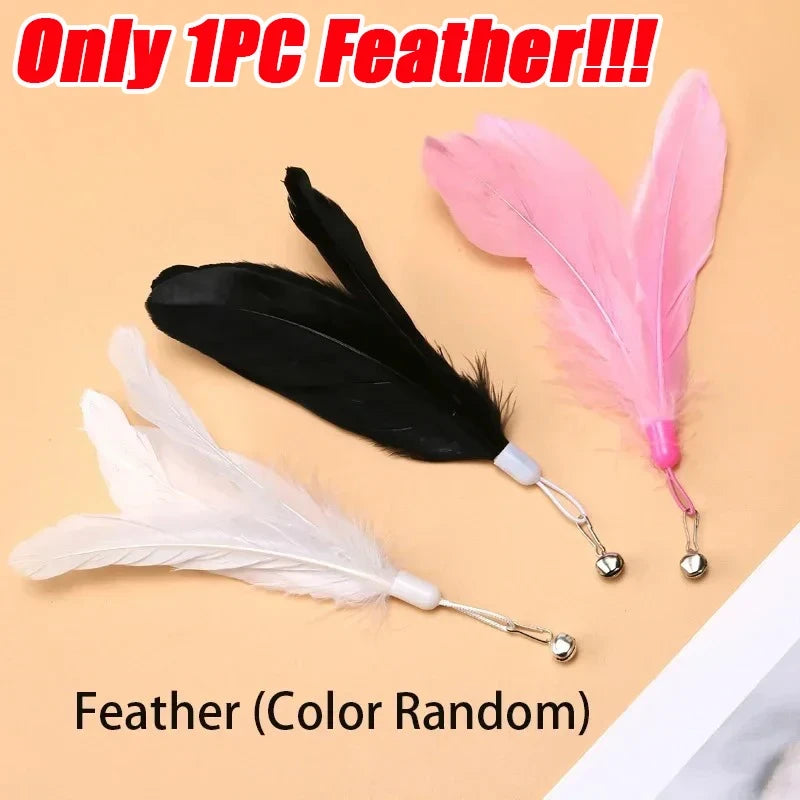 Feather Teaser Cat Toy